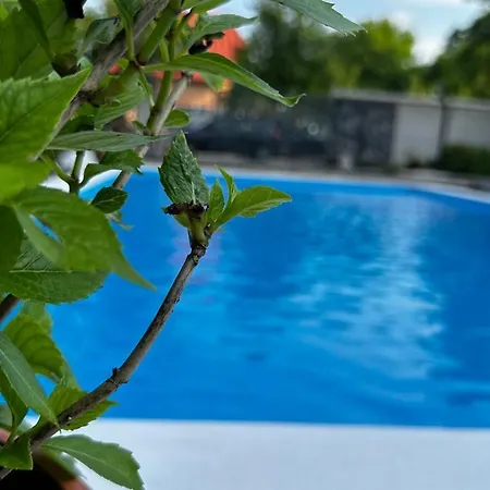 Villa Wood & Green Spa * Hadžići