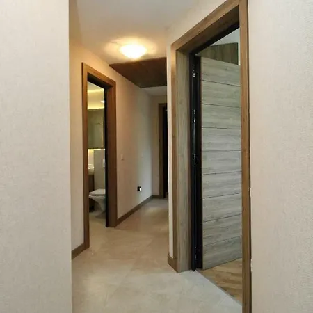 Villa Villa Wood & Green Spa *